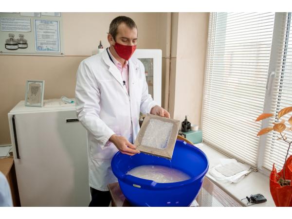 Українські науковці винайшли спосіб переробки борщівника у папір Рис.4