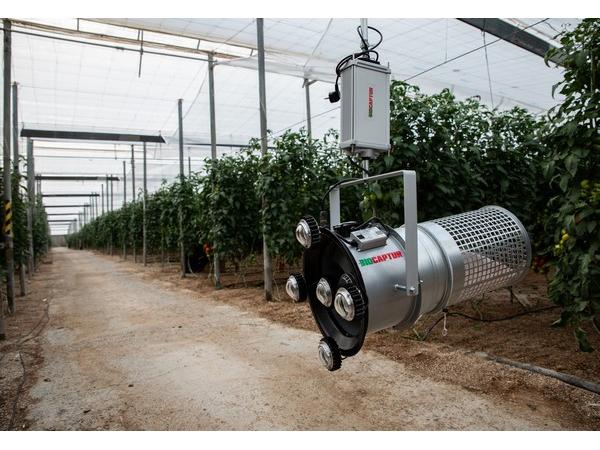 В Іспанії розробили світлодіодну технологію боротьби зі шкідниками томатів Рис.2