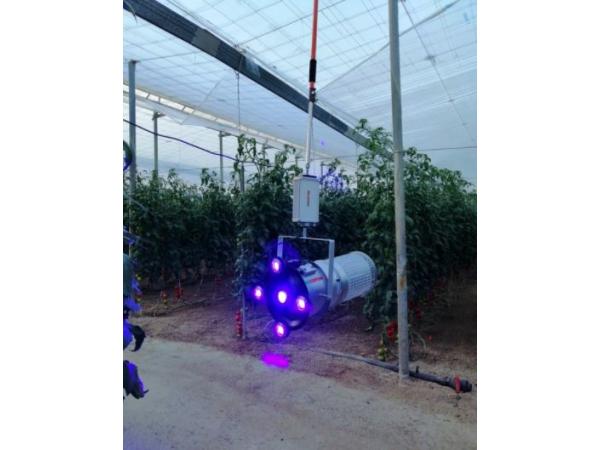 В Іспанії розробили світлодіодну технологію боротьби зі шкідниками томатів Рис.3