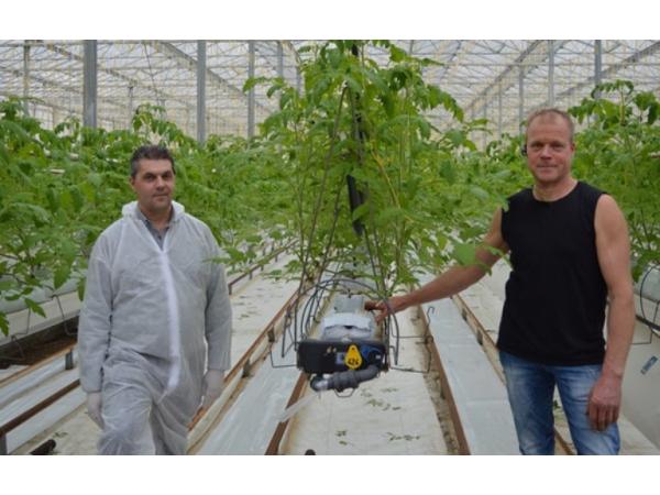 Вирощування томатів на перліті-вигідно і екологічно Рис.2