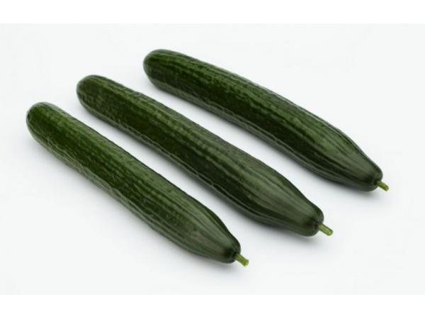 Компанія Sakata вивела новий сорт огірків Рис.2