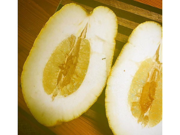 В Австралії люди виростили лимон-гігант вагою 2,6 к Рис.3