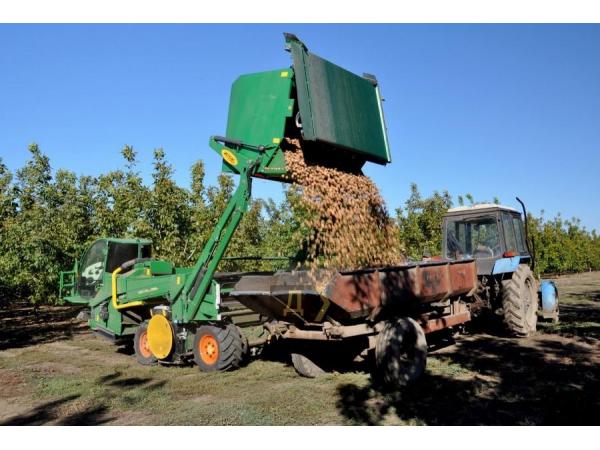 На Одещині вперше збирали волоські горіхи механічним способом Рис.3