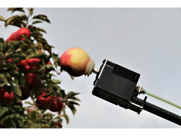Команди Ripe Robotics представила робота-збиральника фруктів Рис.2