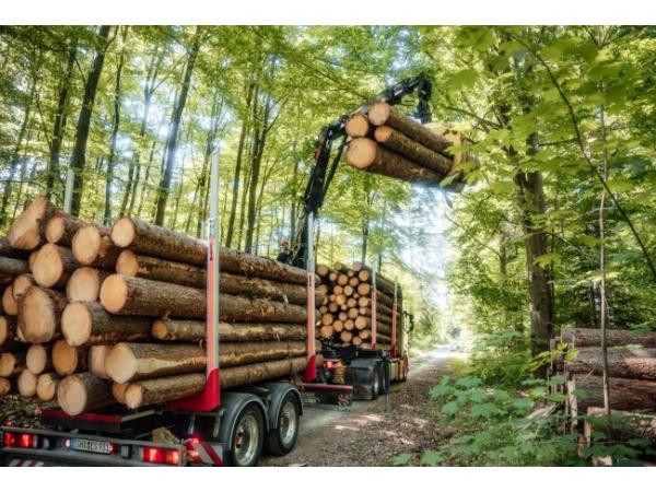 Hiab випускає нове покоління лісозаготівельних кранів Рис.2