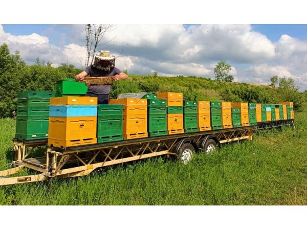 На Черкащині релоковане підприємство виготовляє «Бджоловози» Рис.2