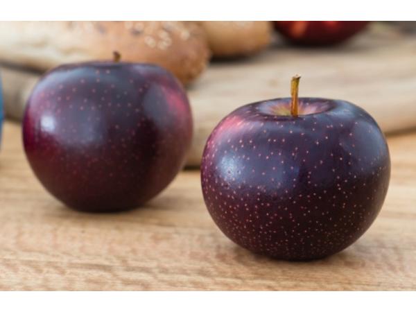 Soluna оголошена новою міжнародною торговою маркою австралійського сорту яблук Рис.2