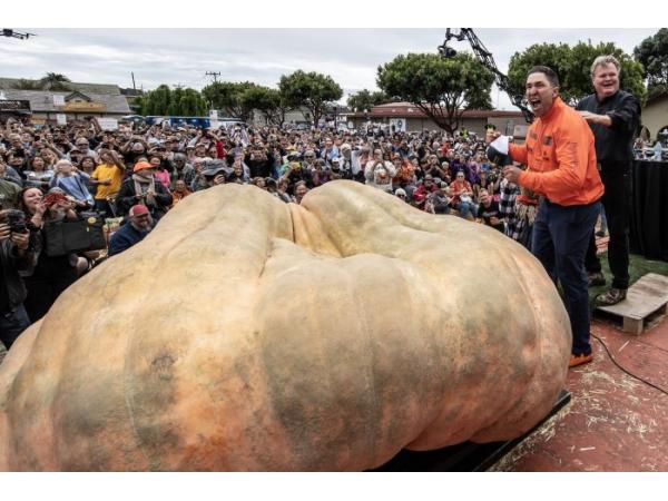 Гарбуз вагою 2749 фунтів побив світовий рекорд на зважуванні в Каліфорнії Рис.2