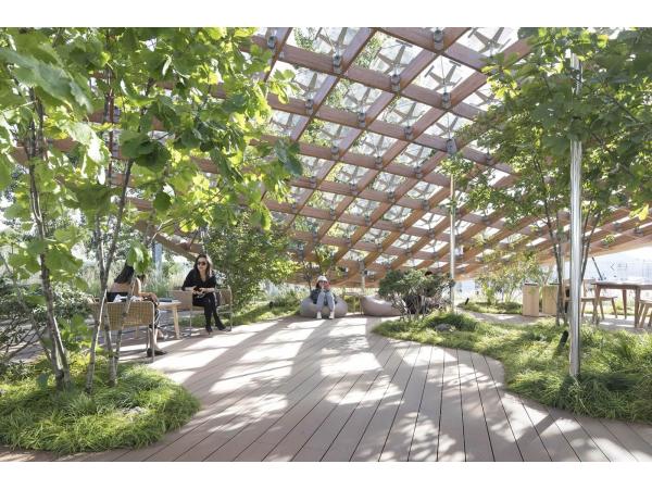 Концепція "будинку майбутнього" в форматі "залюдненого саду" Рис.5