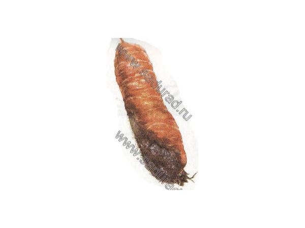 Гниль сіра моркви Рис.1