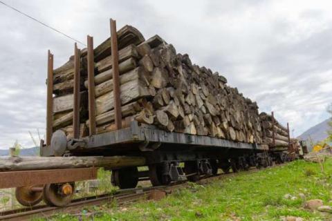20% незаконної деревини з України потрапляє до Польщі Рис.1