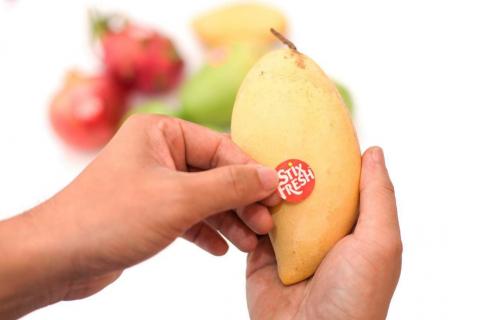 У Малайзії розробили наклейки, що подовжують термін придатності фруктів Рис.1