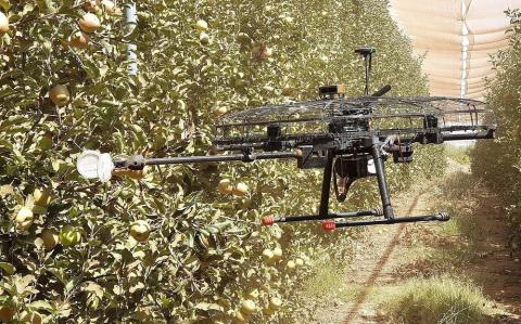 Tevel Aerobotics Technologies створила дрон для збору фруктів Рис.1