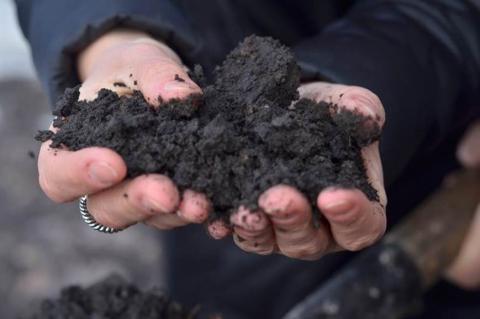 Україна і ФАО об'єднуються для збереження здорових ґрунтів Рис.1