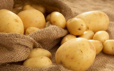 В Україні ціни на ранню картоплю впали до найнижчого за 3 роки рівня Рис.1