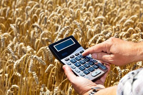 Для аграріїв розроблено елеваторний калькулятор з підказками для оптимізації витрат Рис.1