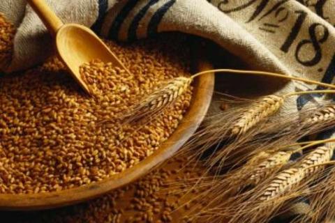 Китай спрощує фітосанітарні вимоги для експортованих з України зернових Рис.1