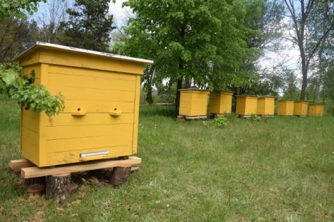 На Волині створили унікальну “школу бджоляра” Рис.1