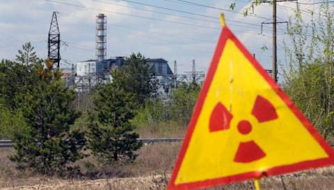 Після Чорнобиля: чому рослини не хворіють на рак? Рис.1