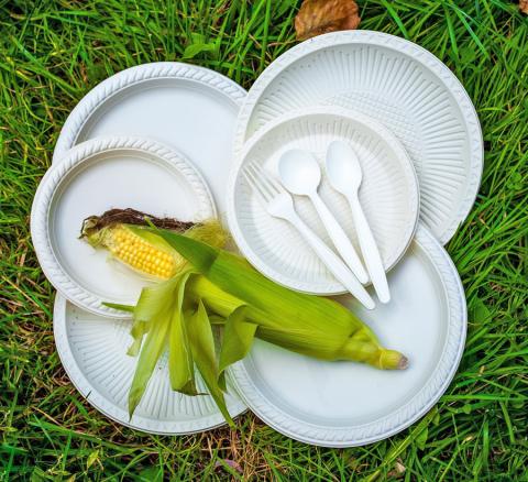 В Україні винайшли технологію виробництва одноразового посуду з кукурудзи Рис.1