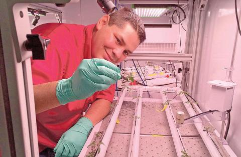 Астронавти будуть вирощувати іспанський перець на МКС Рис.1