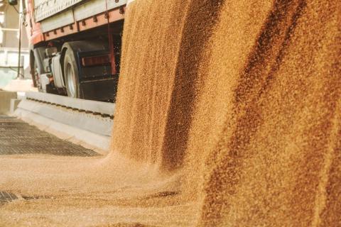 ДПЗКУ збільшує річні показники експорту зернових Рис.1