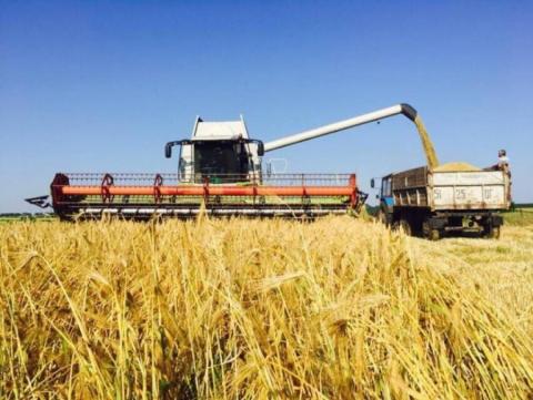 Харківські аграрії намолотили понад пів мільйона тонн зерна Рис.1