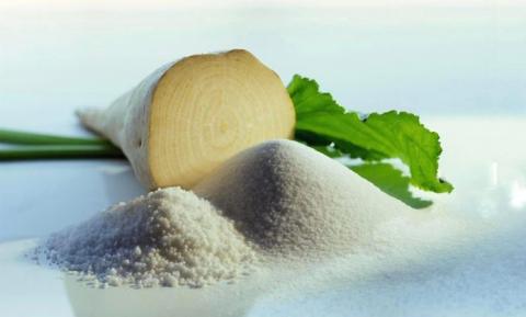 Компанія з Рівненщини вирощує екологічно чисті цукрові буряки для ринку ЄС Рис.1