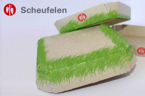 Німецька компанія розробила екологічно чисту упаковку на основі кормових трав Рис.1