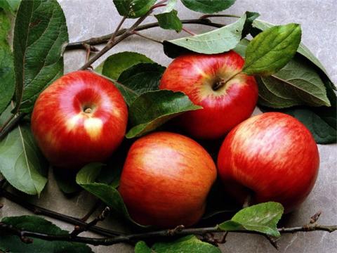 У Польщі планують посилити контроль за справжністю органічних яблук Рис.1