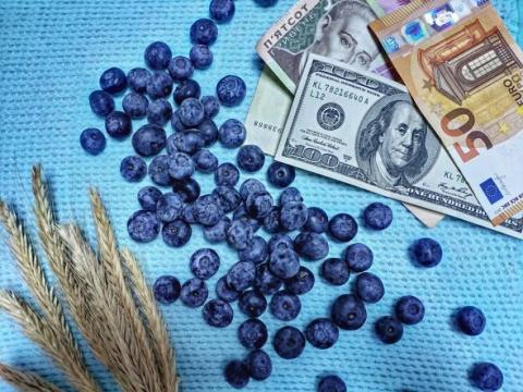 Українські банки розглядають можливості фінпідтримки садівництва і овочівництва Рис.1