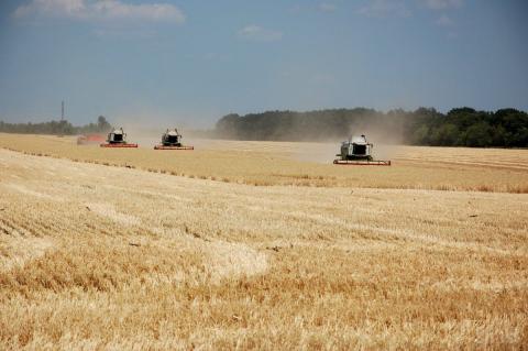“Укрзалізниця” знижує рентабельність виробництва зернових в Україні Рис.1
