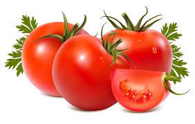 В Україні почали дешевшати томати Рис.1
