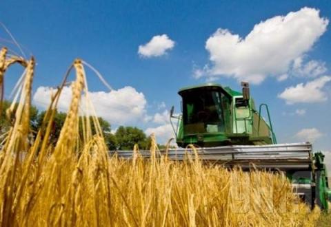 За 6 місяців 2019 року український аграрний експорт досяг $10,3 млрд, - Ольга Трофімцева Рис.1