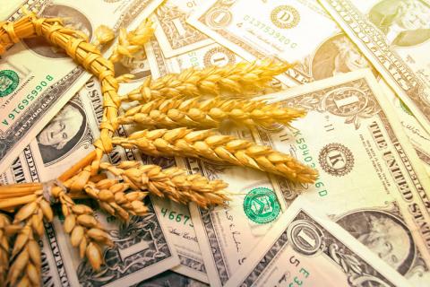 За півроку українським сільгоспвиробникам перераховано 45 млн грн на компенсацію відсотків за кредитами Рис.1