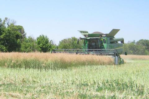 Запорізькі аграрії намолотили перший мільйон тонн зерна Рис.1