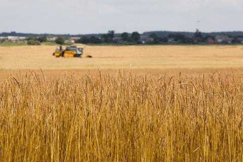 Жнива-2019: на Черкащині намолочено перший мільйон тонн зерна Рис.1