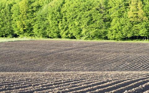 Аграрії Херсонщини витратили на оренду земельних ділянок близько 5 млн гривень Рис.1