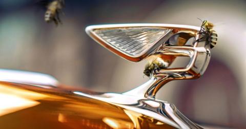 Bentley крім елітних авто буде випускати елітний мед Рис.1