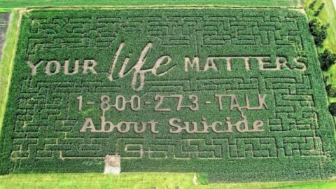 Лабіринт, що рятує життя: як американських фермер прагне запобігти суїцидам за допомогою кукурудзи Рис.1