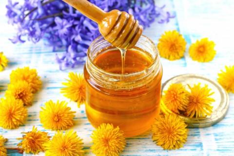 На Херсонщині будуть виробляти органічний мед Рис.1