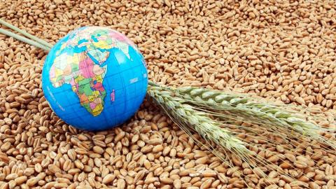 Україна відправила на експорт майже 7 млн т зерна Рис.1
