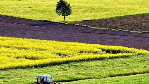 В Україні оприлюднили підсумки понад 2000 земельних онлайн-аукціонів Рис.1