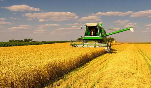 Вінницькі хлібороби намолотили 1 млн тонн ранніх зернових Рис.1