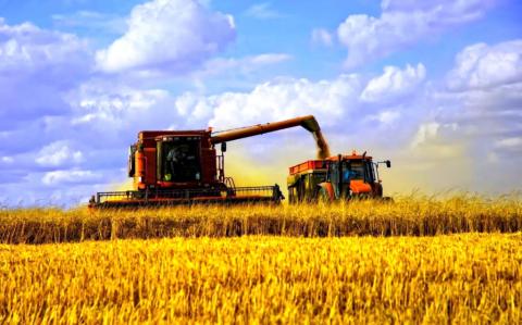 Жнива-2019: В Україні зібрано 38,3 млн тонн зерна Рис.1