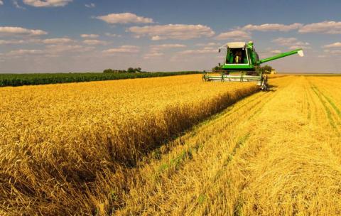 Жнива-2019: В Україні зібрано 39 млн тонн зерна Рис.1