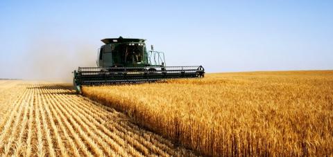 Жнива-2019: В Україні зібрано майже 37 млн тонн зерна Рис.1
