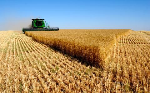 Жнива-2019: В Україні зібрано майже 40 млн тонн зерна Рис.1