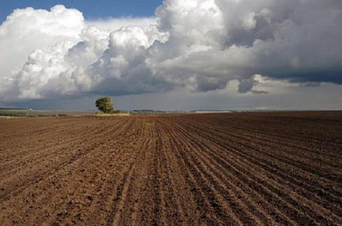 До 80% українських ґрунтів потерпають від нестачі поживних речовин — науковець Рис.1