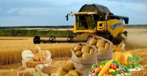 Сільгоспвиробництво в Україні зросло на 4,4 % Рис.1